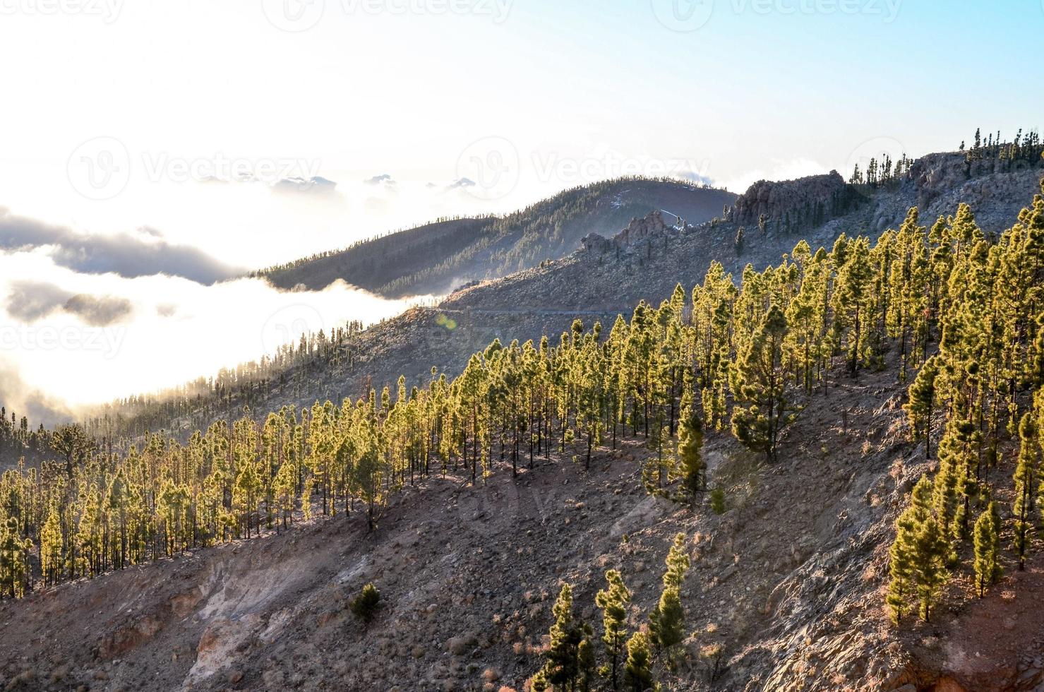 nebliger Blick auf die Berge foto