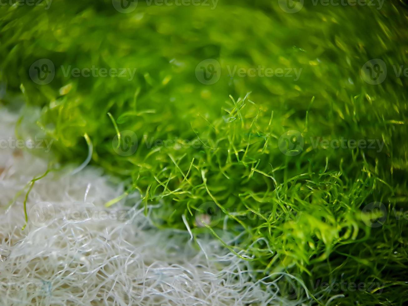 Makrotextur aus grünem und weißem Heimteppichstoff, geeignet für Tapetenhintergrund. foto