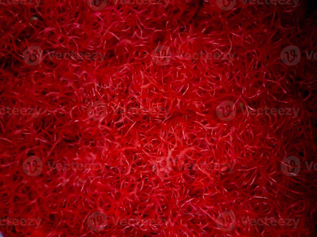 Makrotextur aus rotem und goldenem Heimteppichstoff, geeignet für Tapetenhintergrund. foto