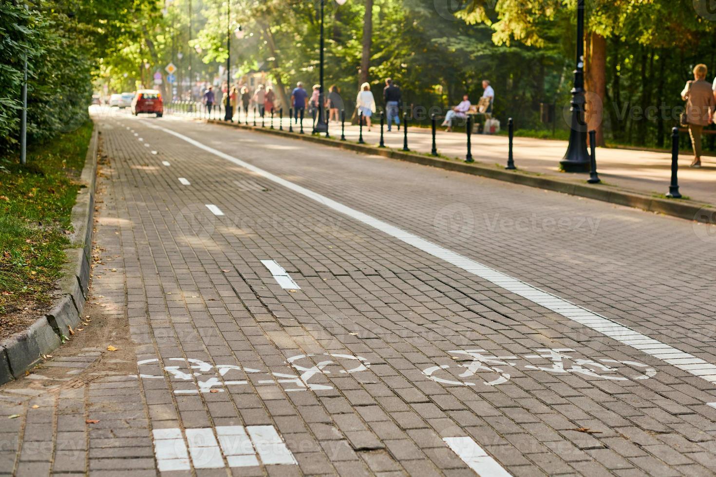 Zwei-Wege-Radweg und Verkehrsauto, weiß lackiertes Fahrradschild auf der Straße. gesunder lebensstil, ökologie foto