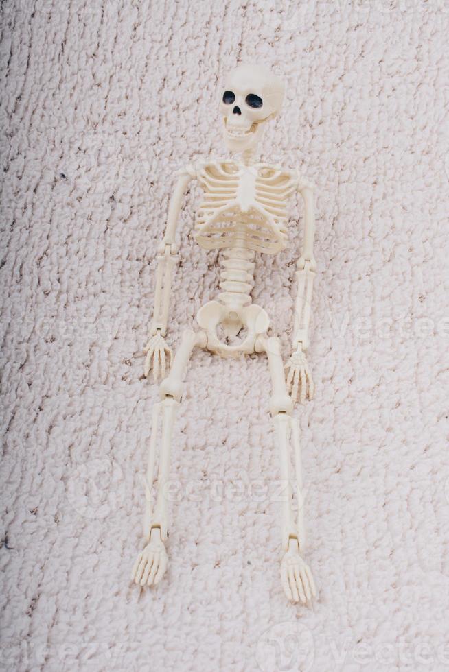 Modell des menschlichen Skeletts, das für die medizinische Anatomiewissenschaft posiert foto