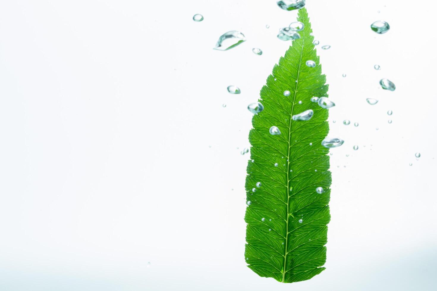 grünes Blatt und Blasen im Wasser foto