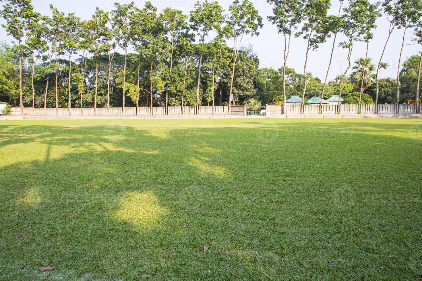 grünes feld mit bäumen in der parklandschaftsansicht foto