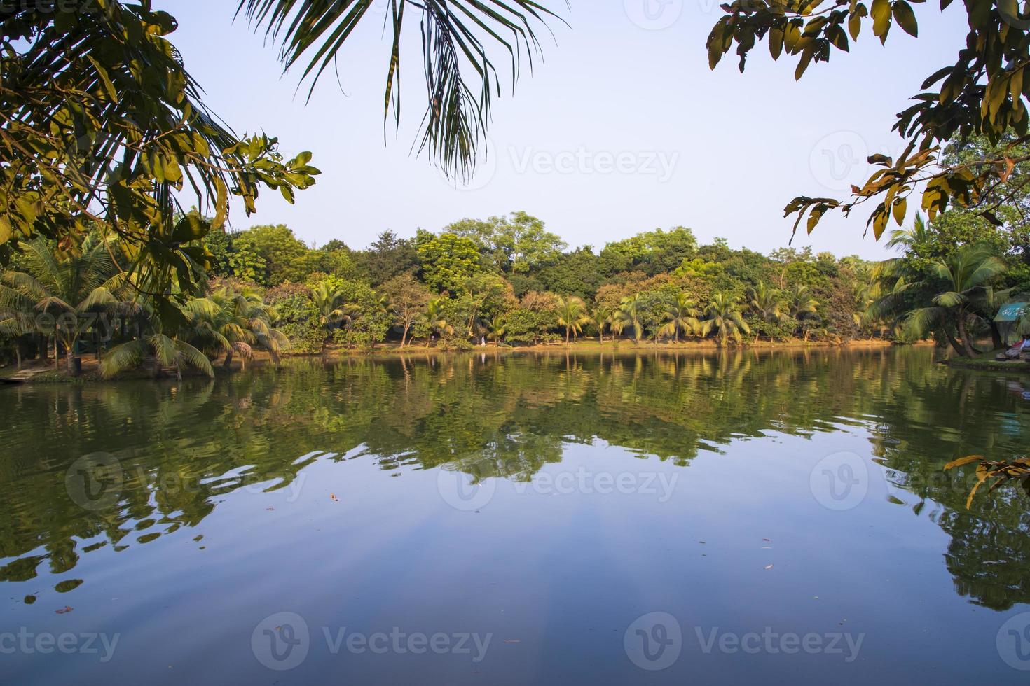 Naturlandschaftsansicht Reflexion von Bäumen im Seewasser gegen blauen Himmel foto