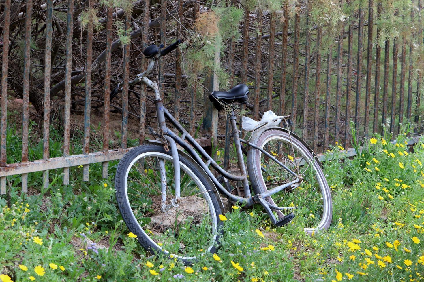 Fahrrad im Stadtpark am Meer. foto