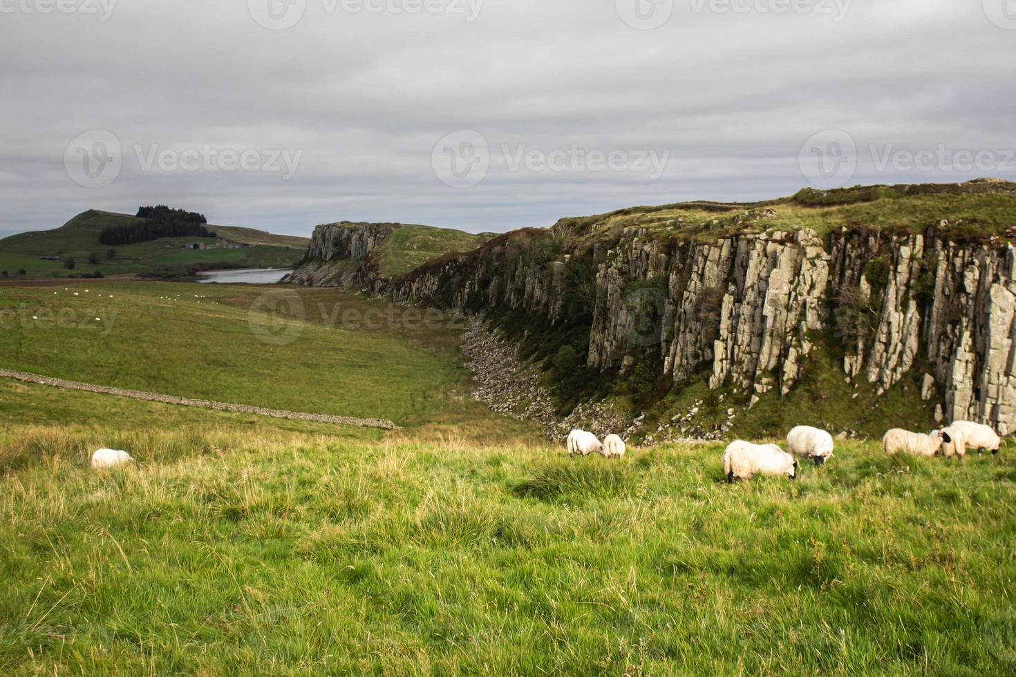 ein blick auf die landschaft von northumberland mit hügeln, klippen und schafen foto