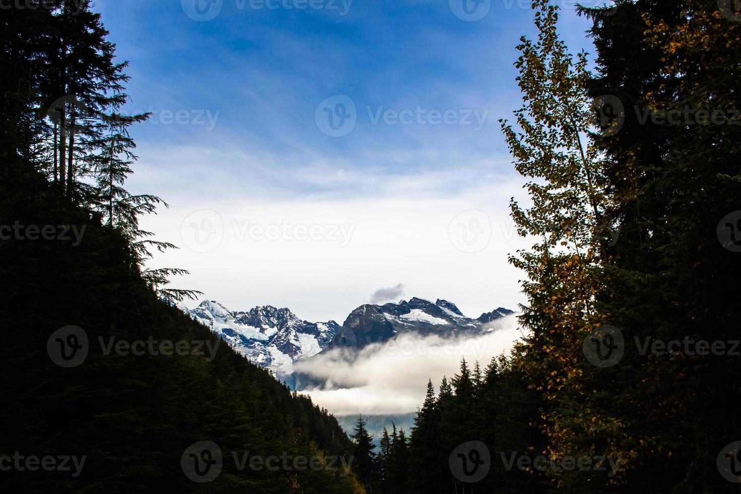Blick auf Berge und Wälder in British Columbia foto