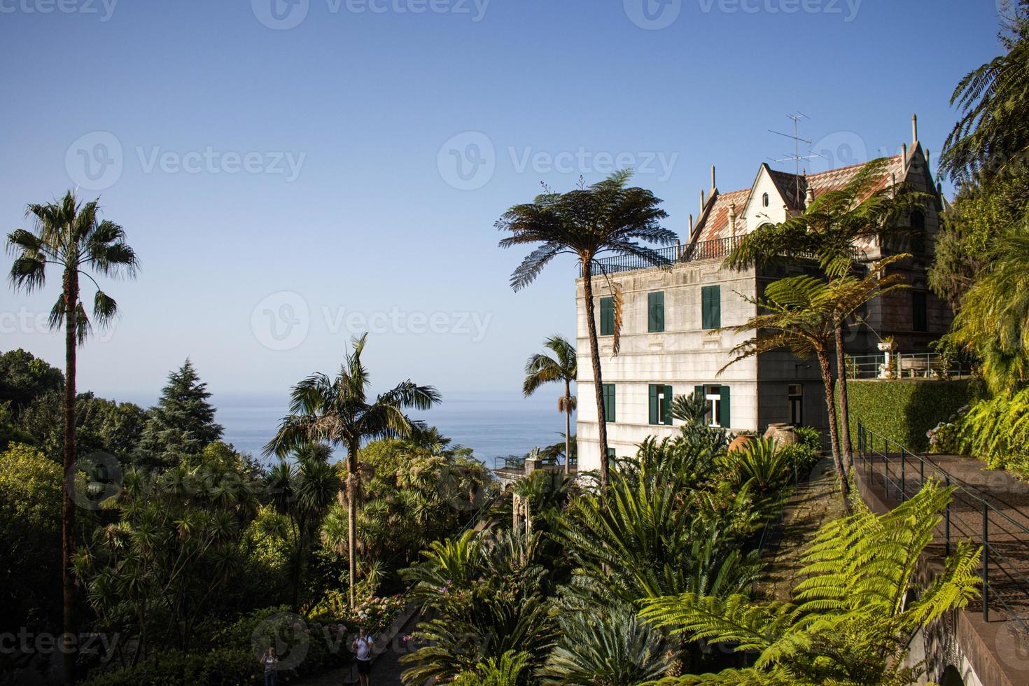 tropischer garten am monte in funchal, madeira foto