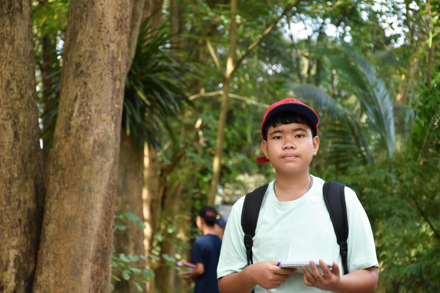 Drei asiatische Jungen lesen Vogeldetails und werden ein Fernglas verwenden, um während des Sommercamps Vögel auf den Bäumen zu beobachten, eine Idee, um Kreaturen und Wildtiere außerhalb des Klassenzimmers zu lernen. foto