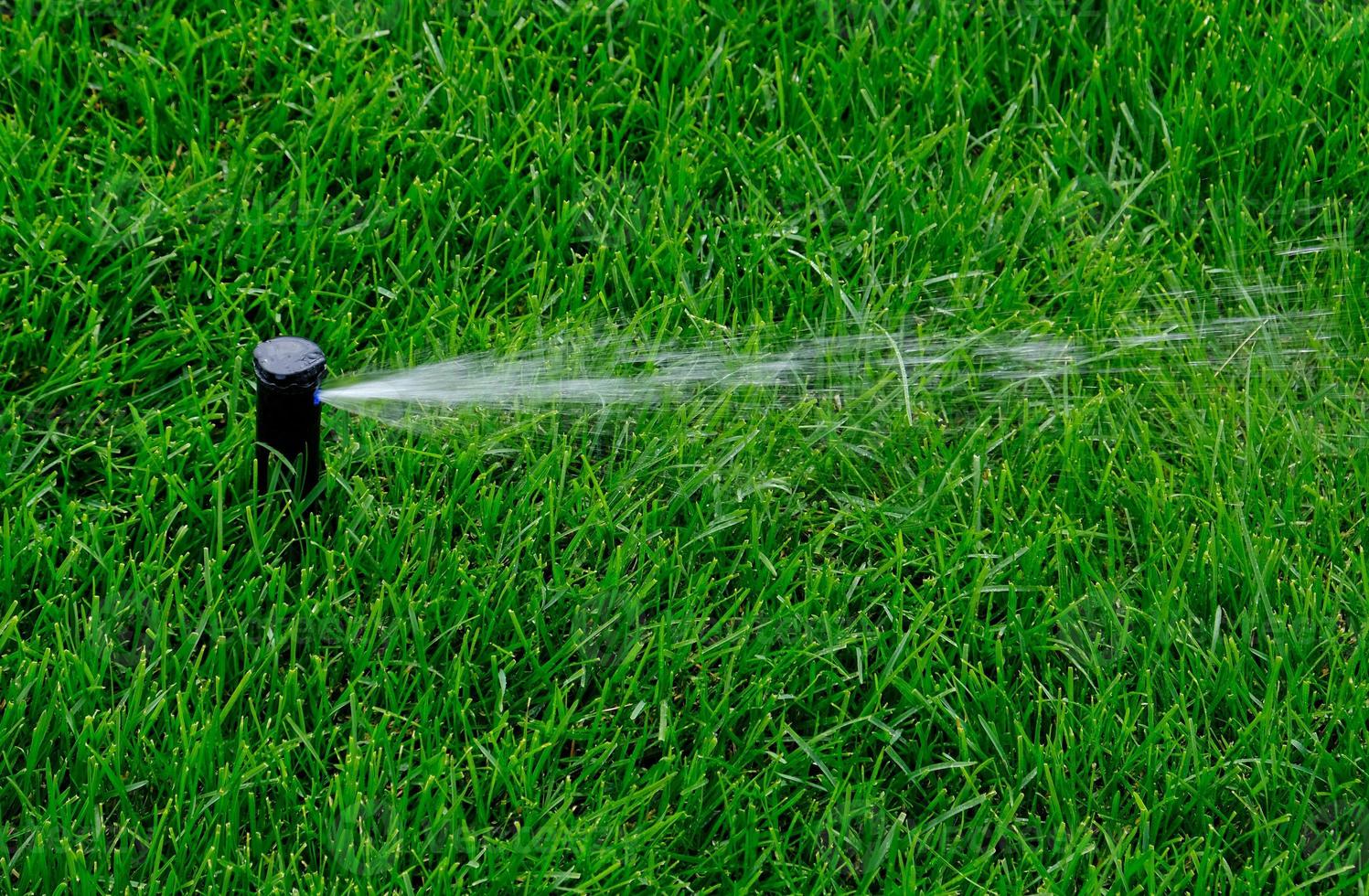 Automatisches Gartenbewässerungssystem zur Rasenbewässerung. Einsparung von Wasser durch Sprinkler-Bewässerungssystem mit verstellbarem Kopf. Automatisierung für Rasenbewässerung, Gartenarbeit, Fußballfelder oder Golfplätze. foto