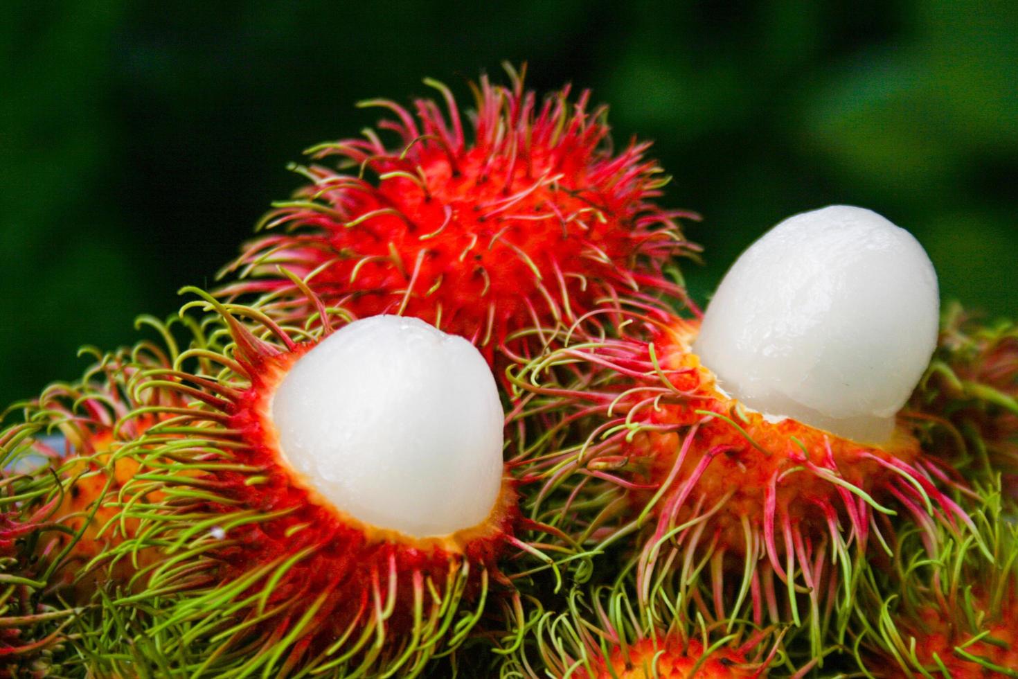 thailändische Frucht, süßer Rambutan, schöne Farbe aus dem Süden Thailands. foto