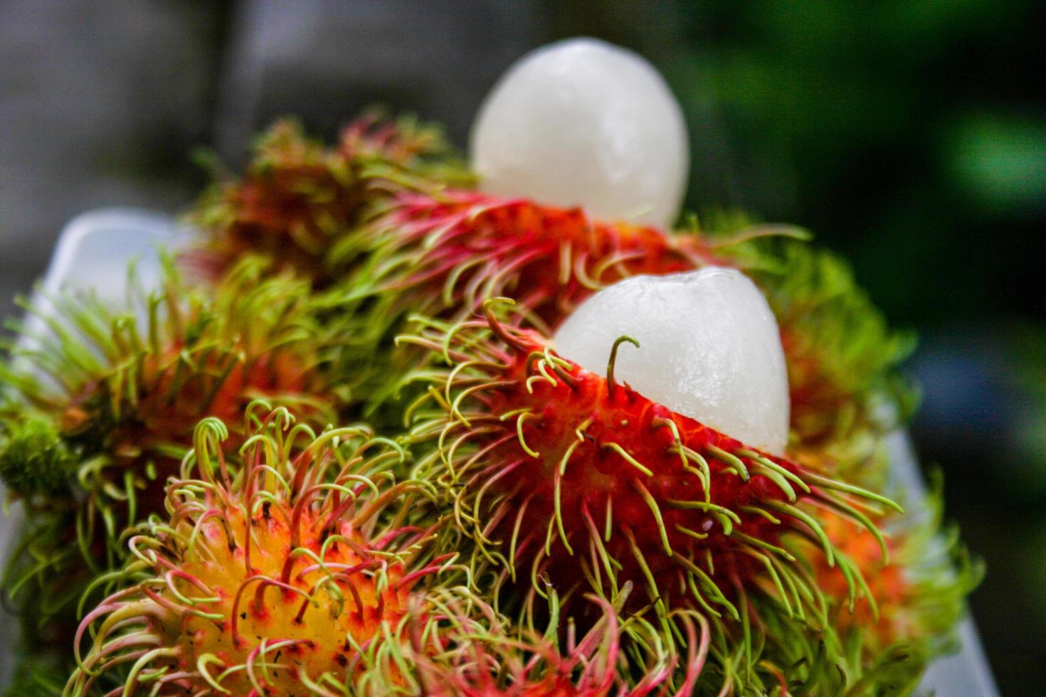 thailändische Frucht, süßer Rambutan, schöne Farbe aus dem Süden Thailands. foto