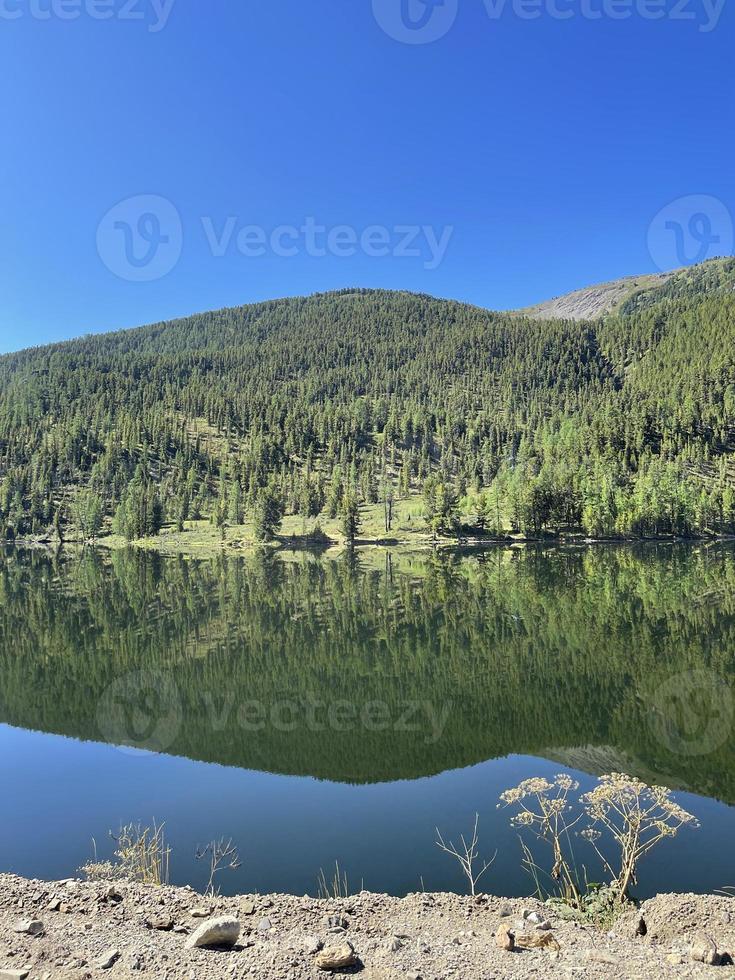 schöne landschaft im altai-gebirge, russland foto