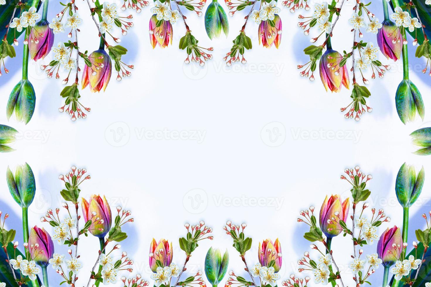blühender Zweigapfel, Tulpen. leuchtend bunte Frühlingsblumen foto