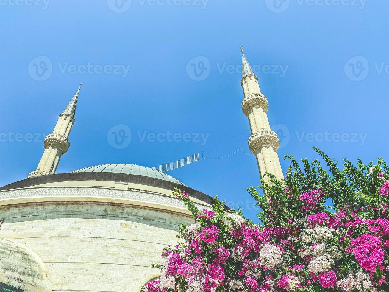 eine Moschee in Blumen gegen einen blauen und hellen Himmel. schönheit des fremden landes, muslimische religion. Glaube an höhere Mächte, Steinbau foto