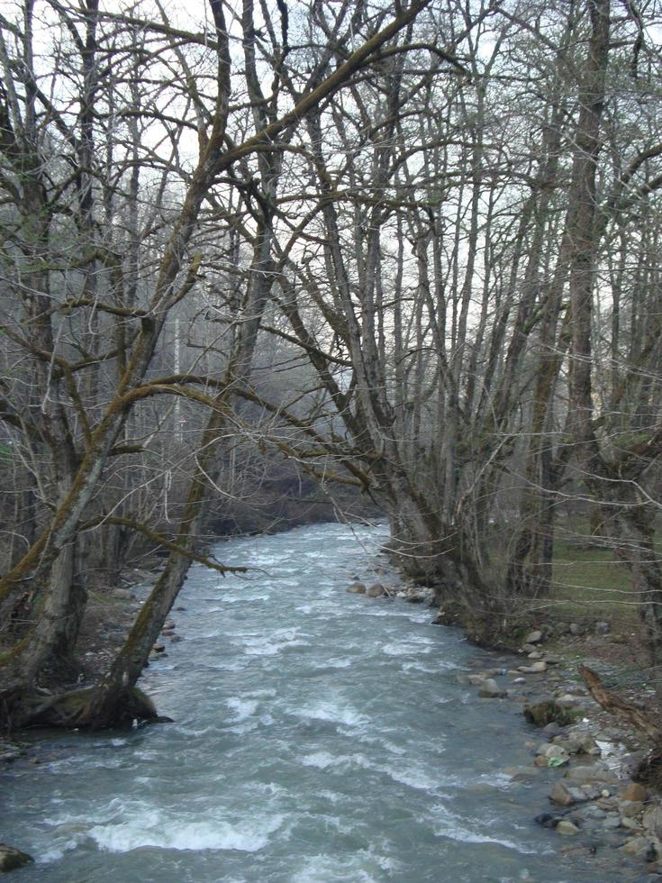 der Fluss im Dschungel foto