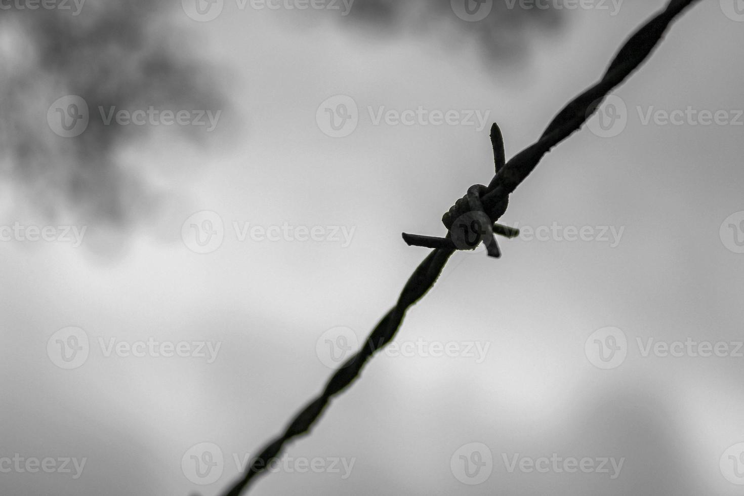 Stacheldraht auf düsterem Hintergrund in Deutschland. foto