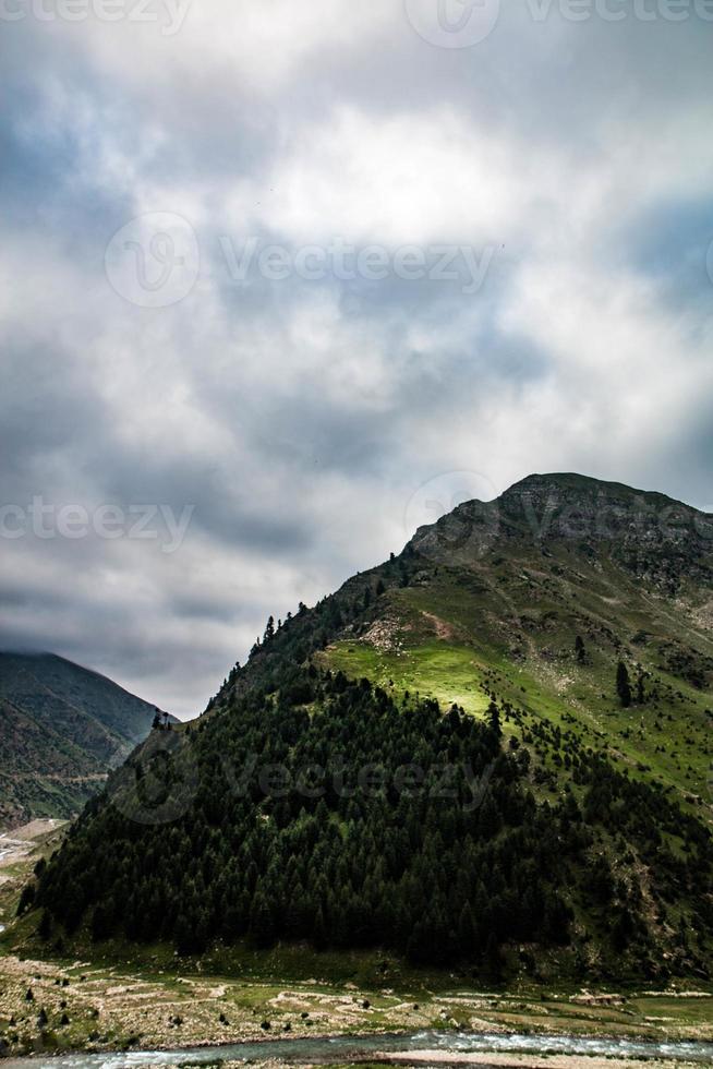 feine bäume wald landschaft naran jhalkand foto