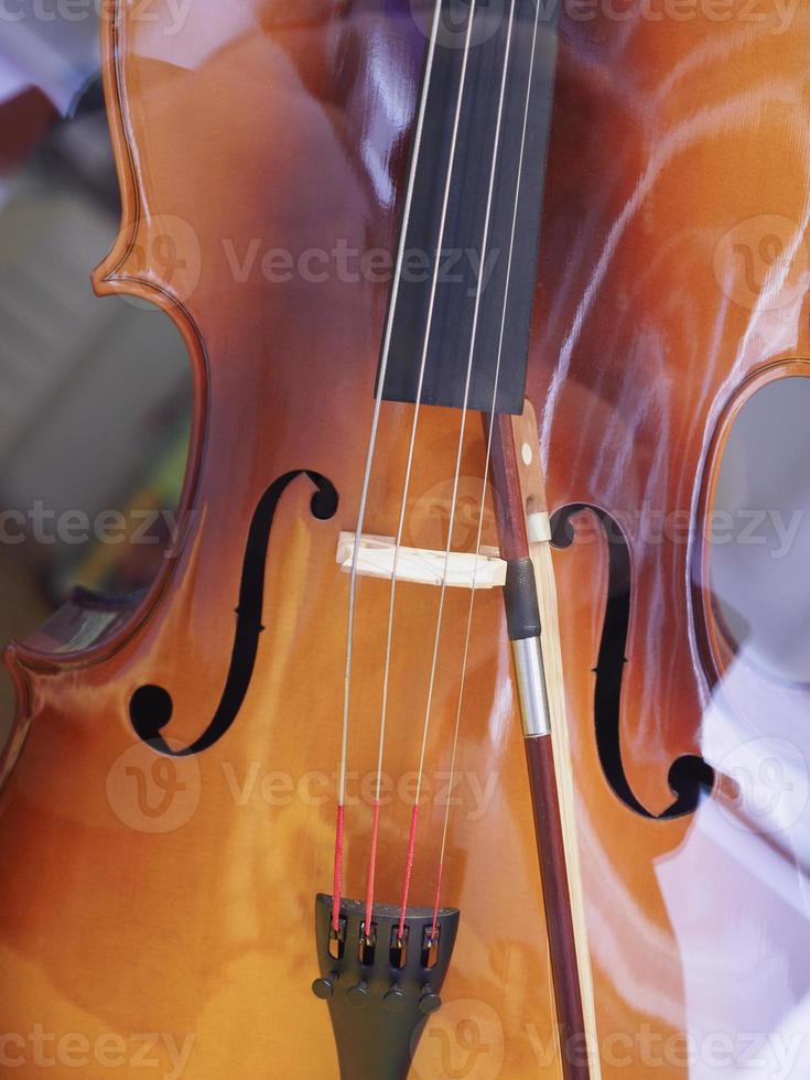 Violine Saiteninstrument foto