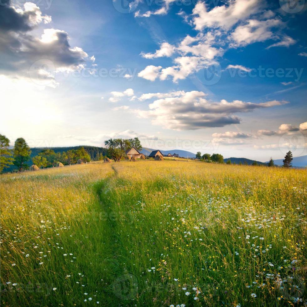 schönes feld in den karpaten foto