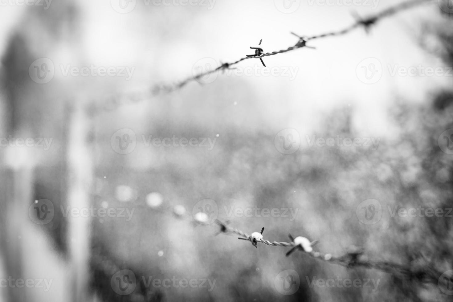 Konzept des Zweiten Weltkriegs, Stacheldrahtzaun vor kaltem Winterhintergrund. ein Stacheldraht auf dem Zaun des eingezäunten Territoriums. lager oder gefängnis während des krieges, zaun abstraktes hintergrundkonzept foto