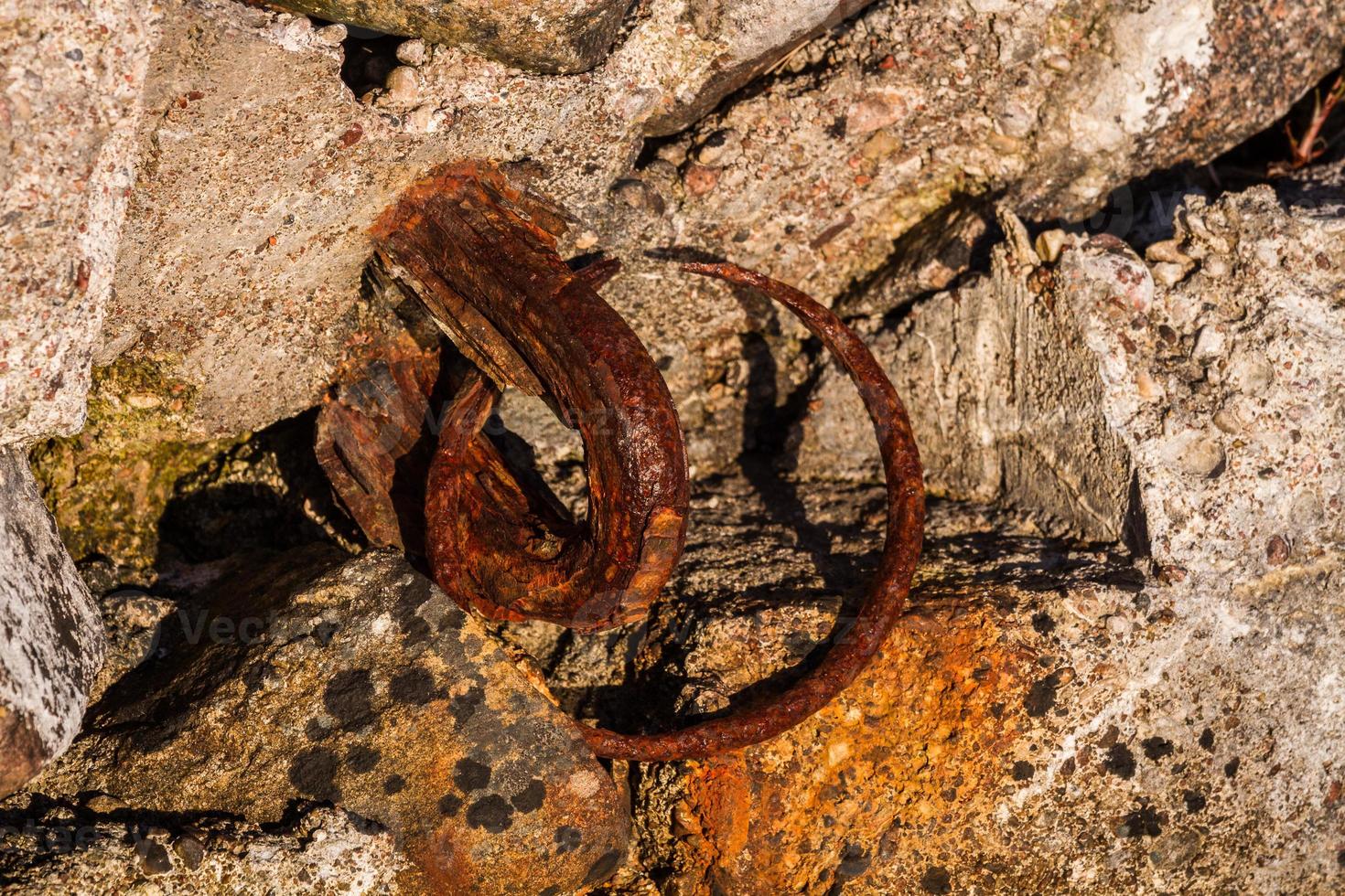 frühlingslandschaften auf der insel hiiumaa foto