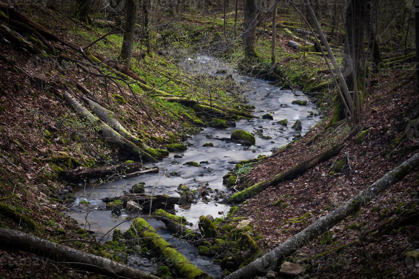 kleiner Waldfluss im frühen Frühling foto