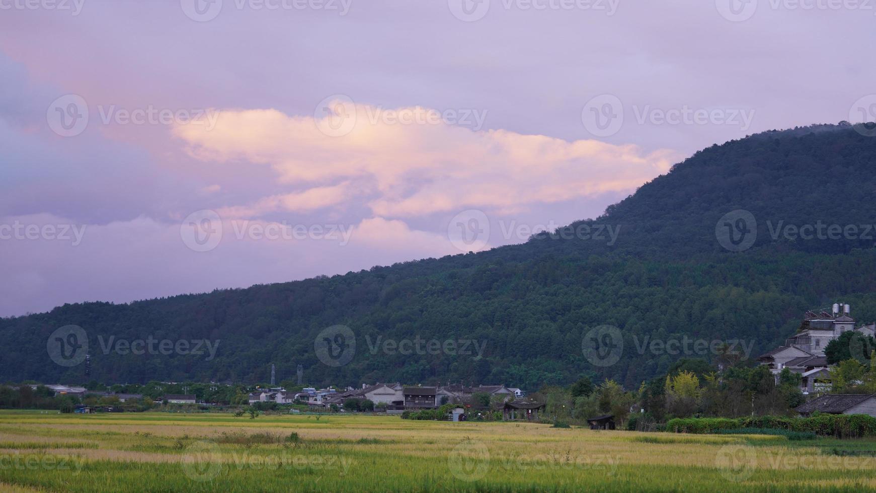 die ernte gelbe reisfeldansicht befindet sich im tal zwischen den bergen mit dem bewölkten himmel als hintergrund foto