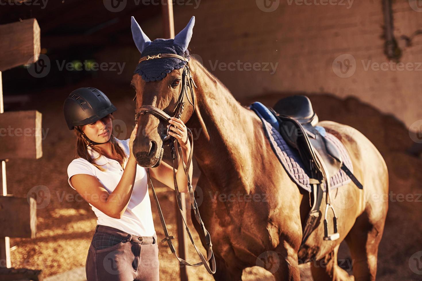 Tier ist in blauer Kleidung. Reiterin in Uniform und schwarzem Schutzhelm mit ihrem Pferd foto