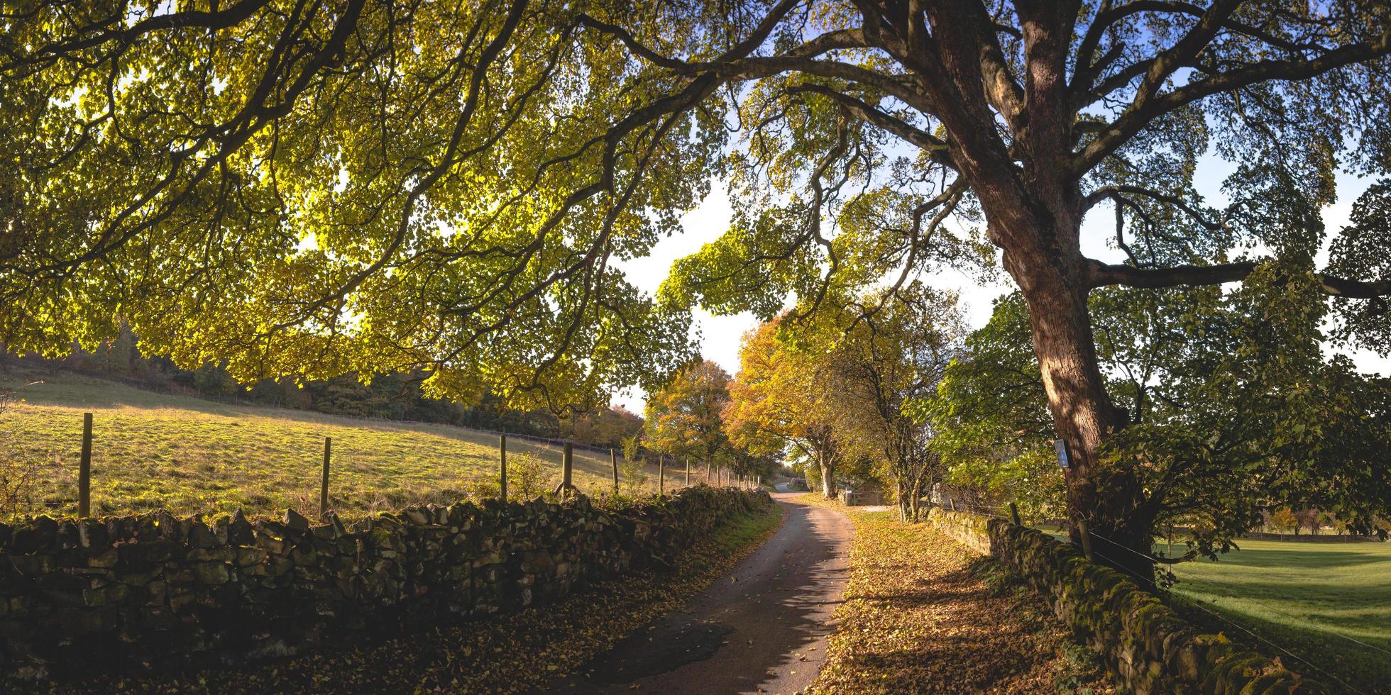 Feldweg auf dem Land foto