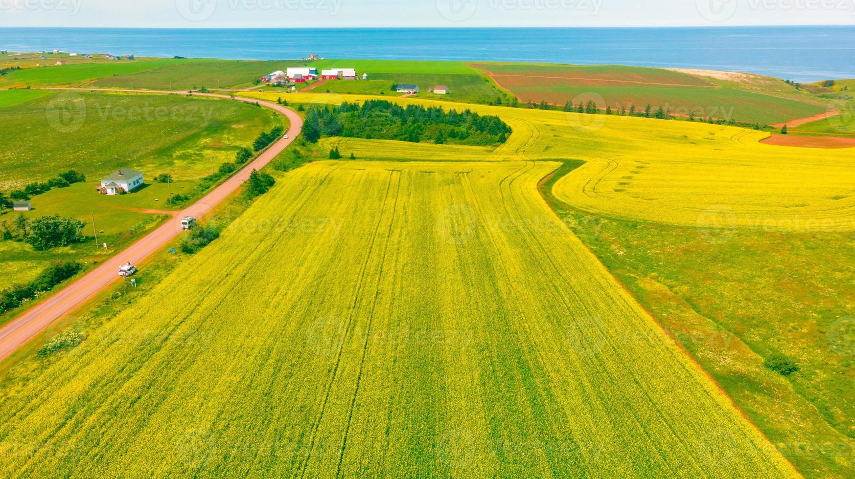 Gesamtansicht der Rapsfarm im Atlantik, Prince Edward Island, Kanada foto