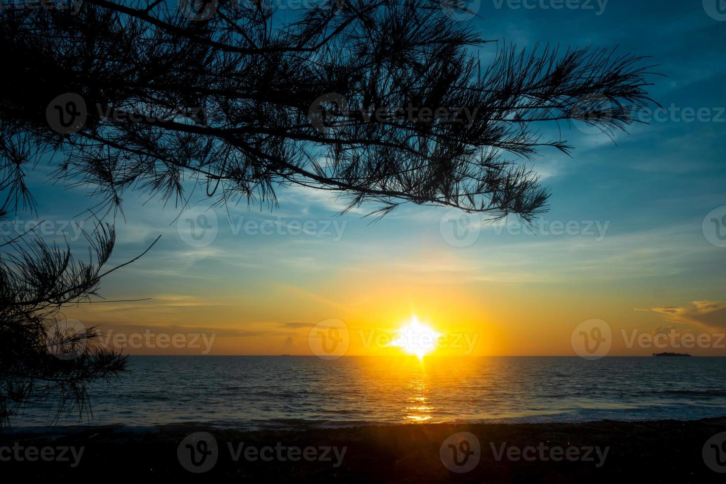 schöne sonnenuntergangansicht des strandes mit baumastschattenbild foto