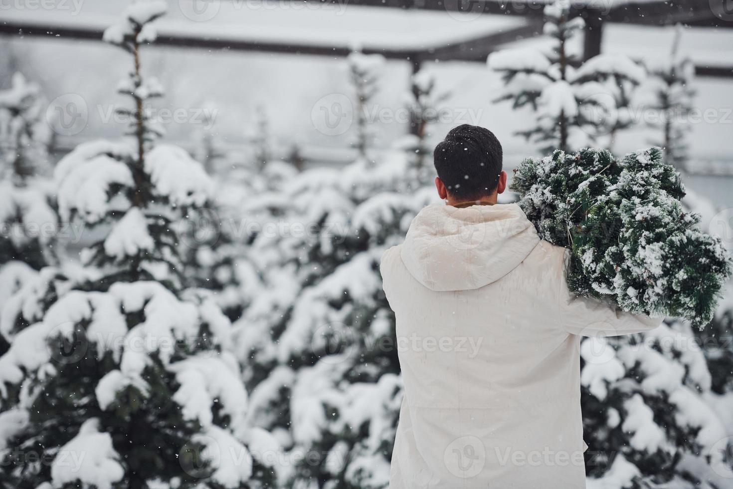 Junger gutaussehender Mann mit frisch geschnittenem Tannenbaum im Freien foto