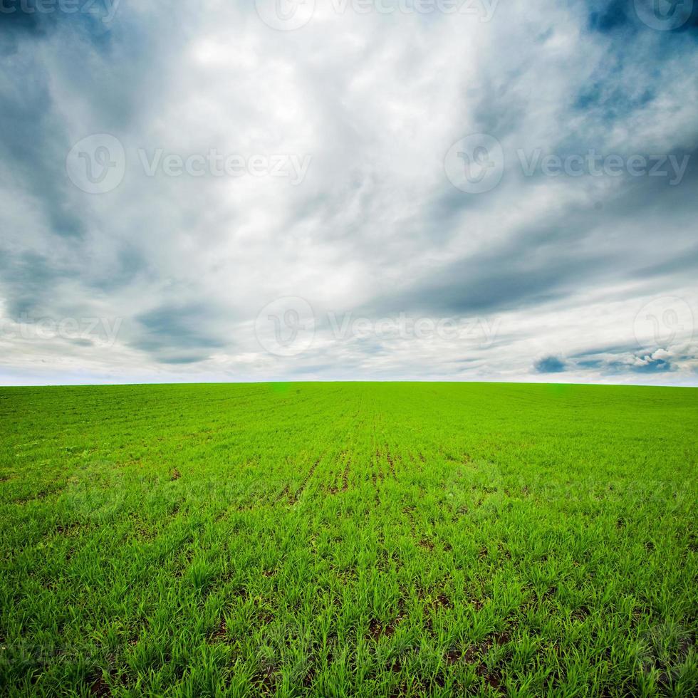 dramatischer Himmel über grünem Feld foto