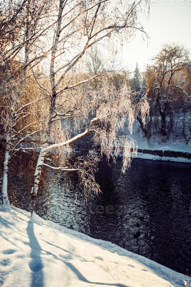 Fluss im Winterpark foto