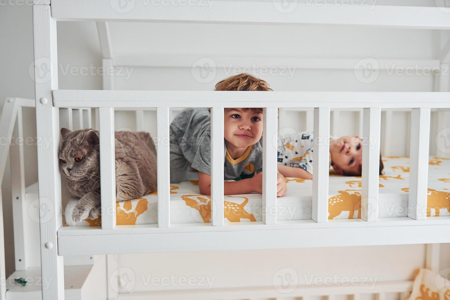 Zwei kleine Jungen ruhen sich aus und haben gemeinsam Spaß drinnen im Schlafzimmer. Katze, die in ihrer Nähe sitzt foto