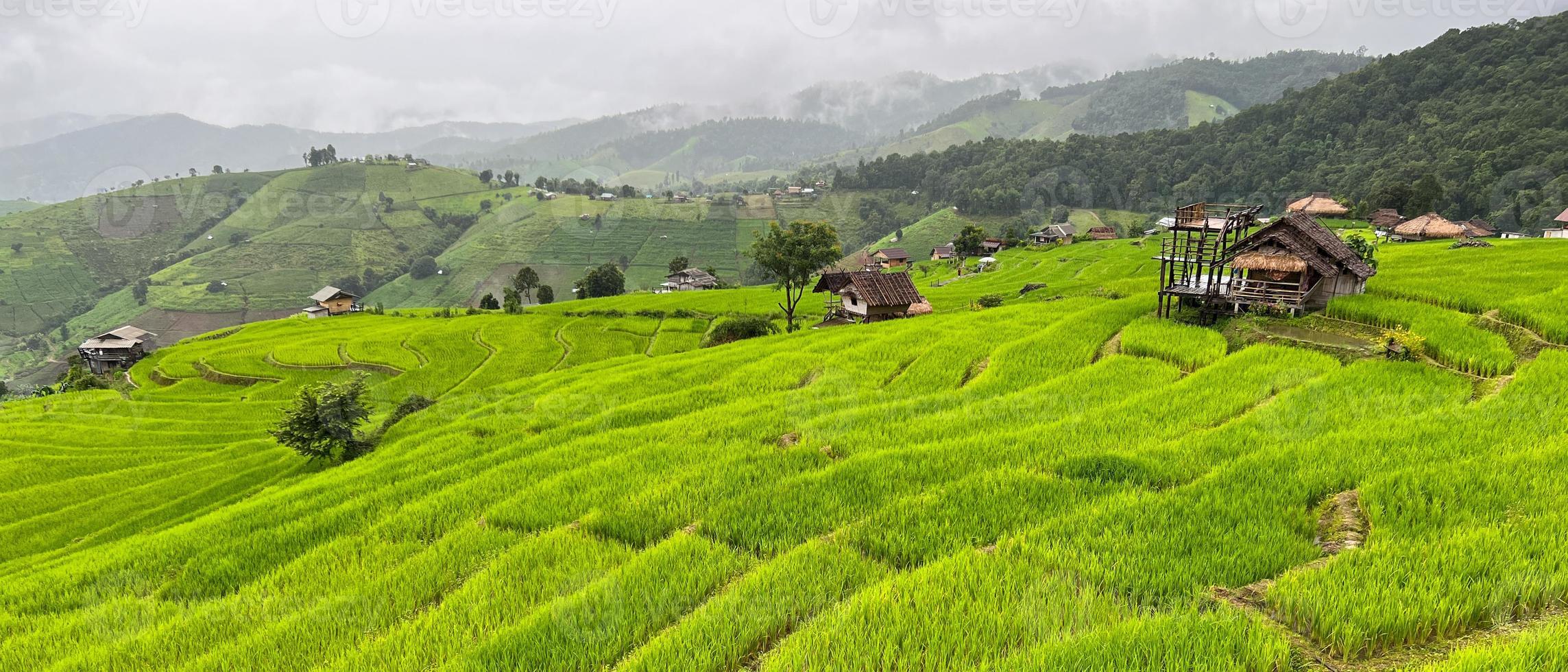 Landschaft der kleinen alten Hausumgebung mit grünen Paddy-Reisterrassen und Bergen an nebligen Tagen in der Regenzeit bei Ban Pa Pong Piang, Chiang Mai, Thailand foto
