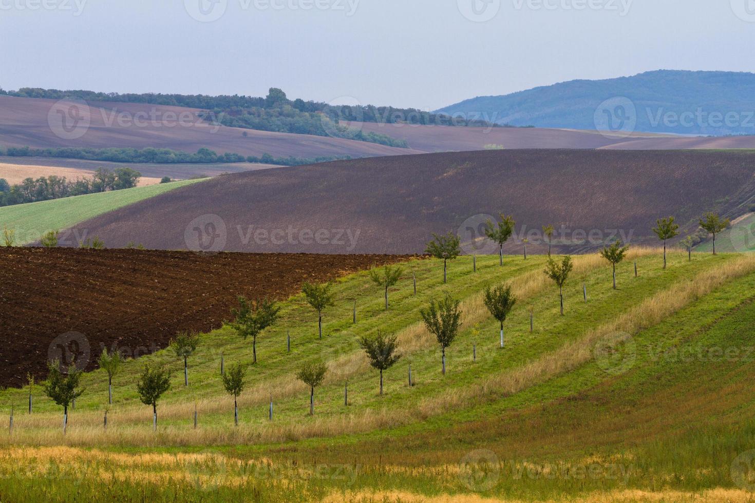 Herbstlandschaft in einem mährischen Feld foto