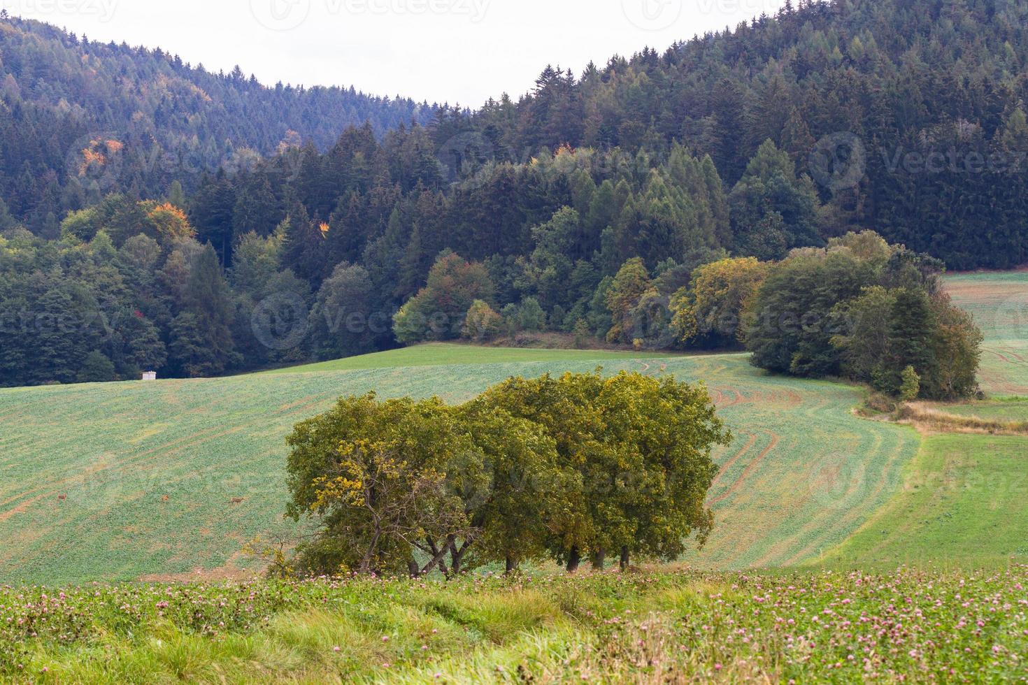 Herbstlandschaft in einem mährischen Feld foto