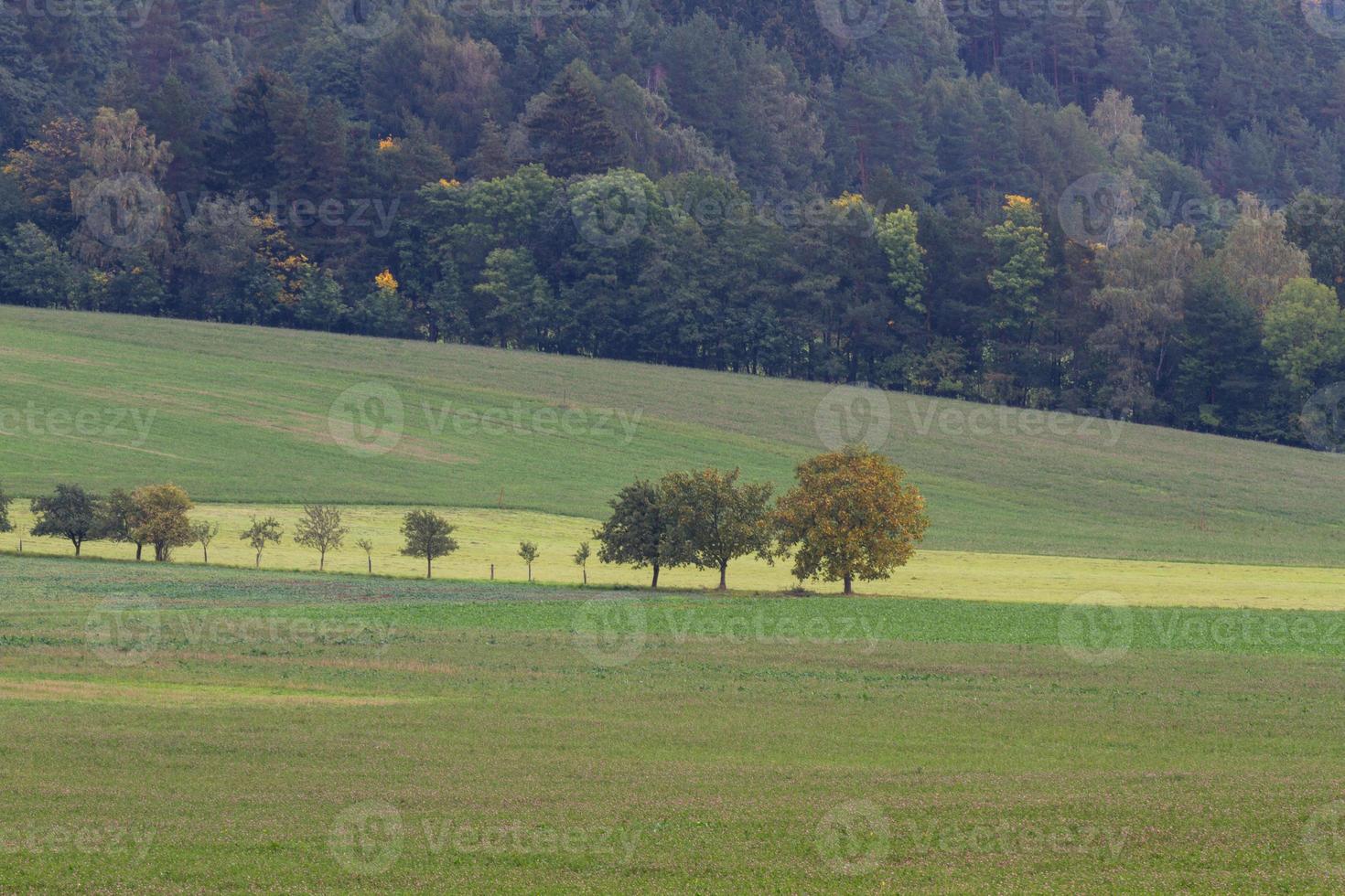 Herbstlandschaft in einem mährischen Feld foto