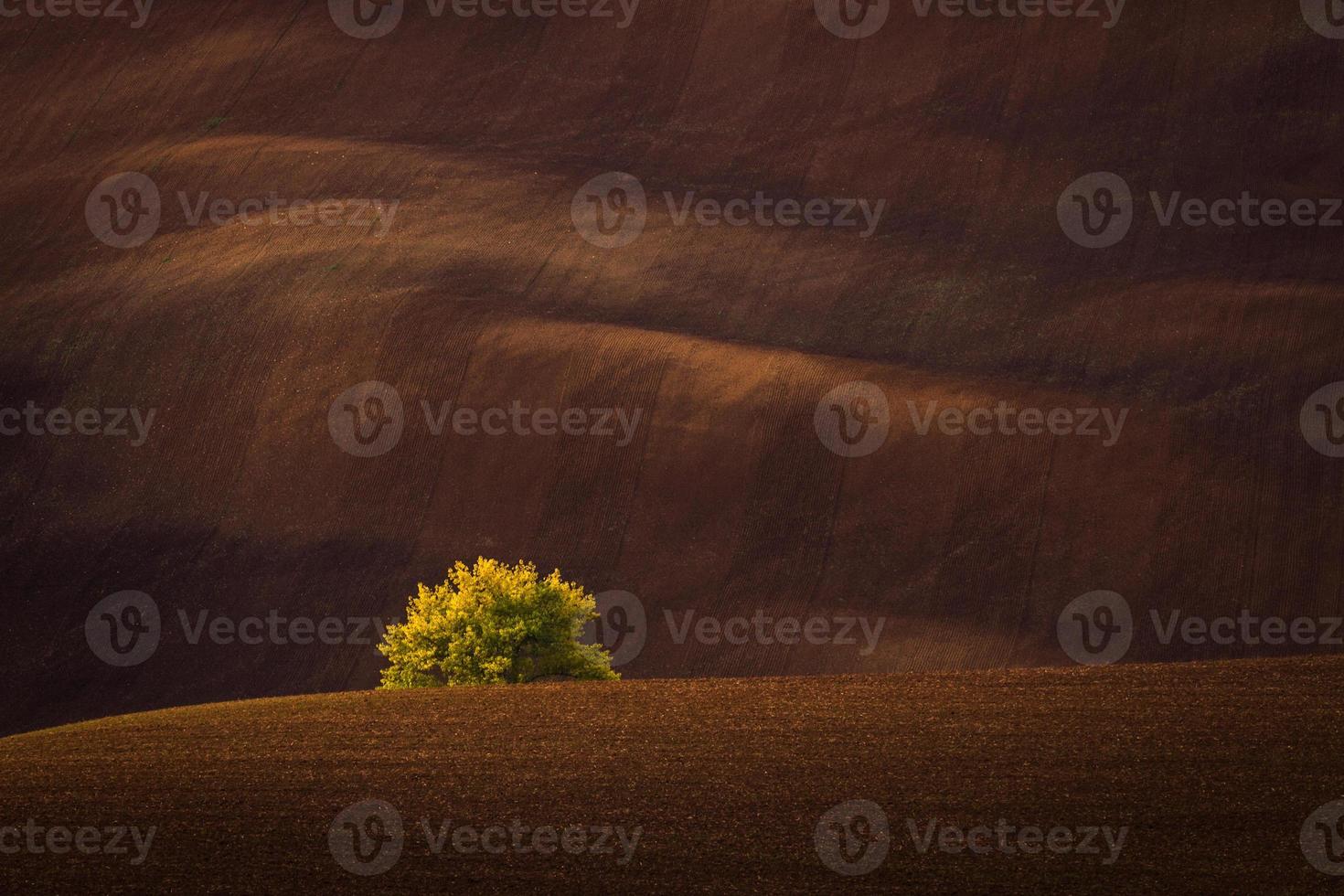 Herbstlandschaft in einem mährischen Feld foto