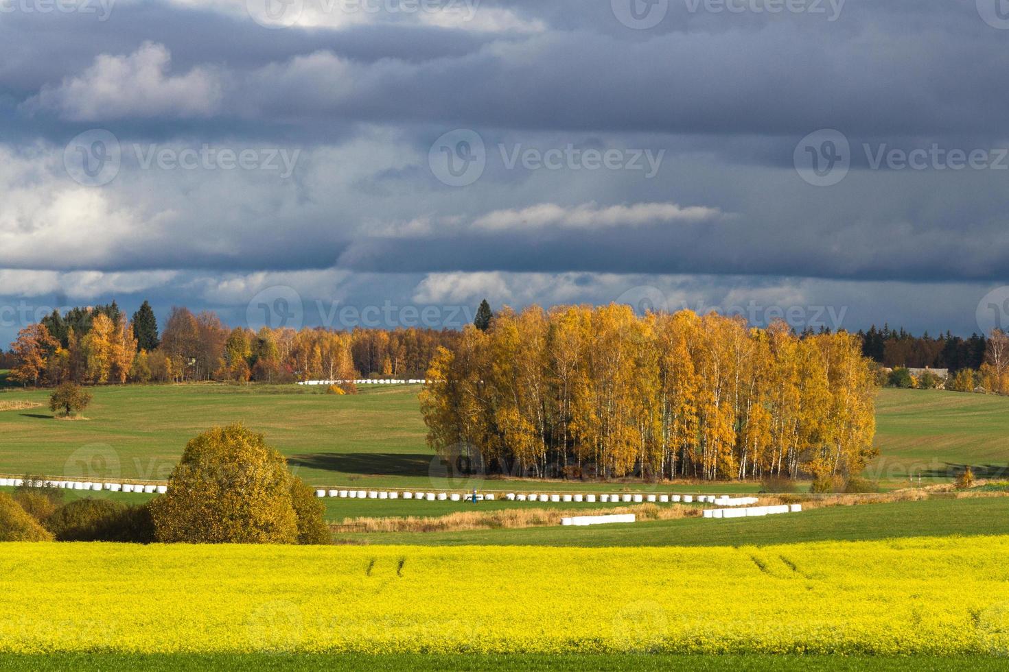 Herbstlandschaft mit gelben Blättern an einem sonnigen Tag foto