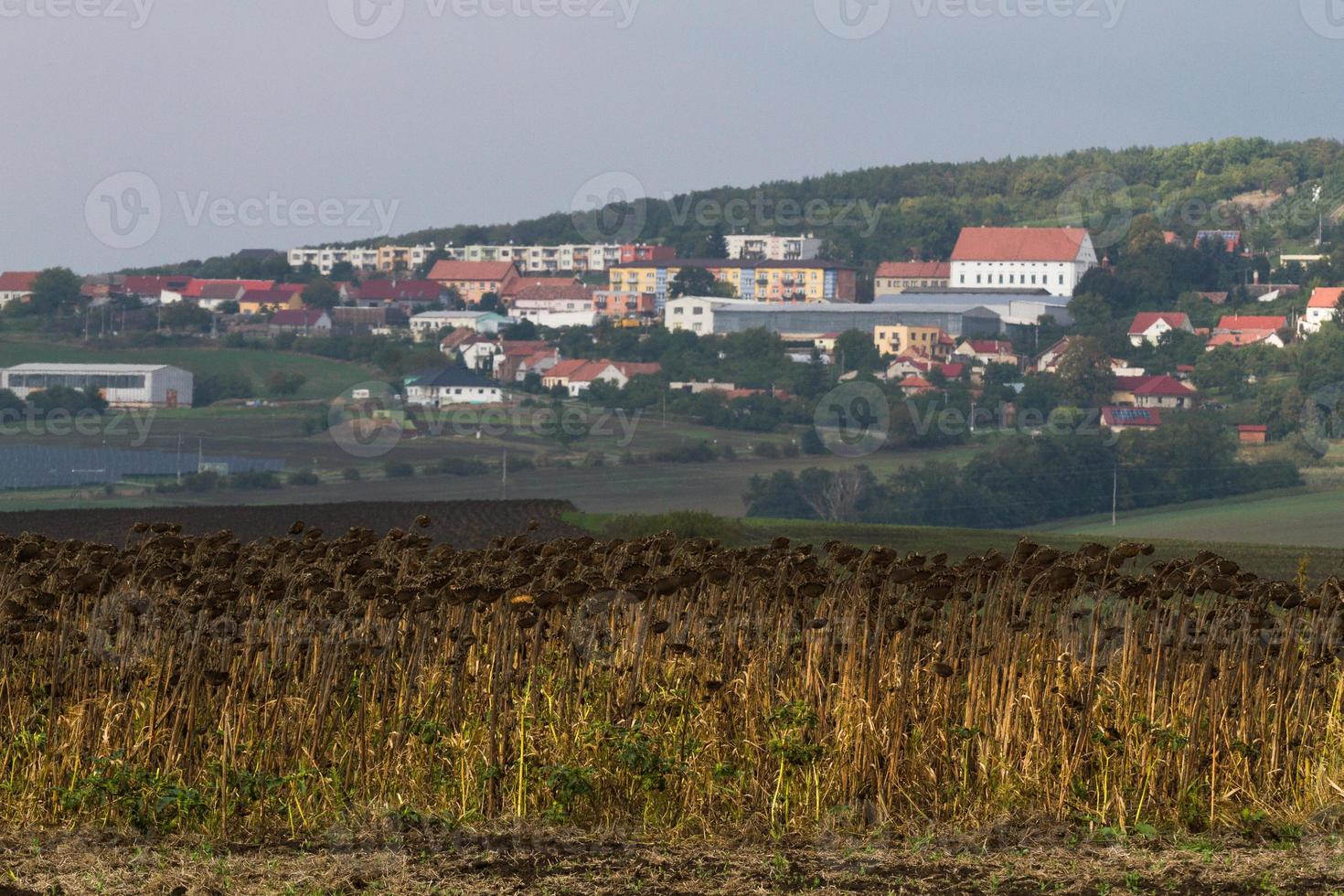 Herbstlandschaft in einem mährischen Feld foto