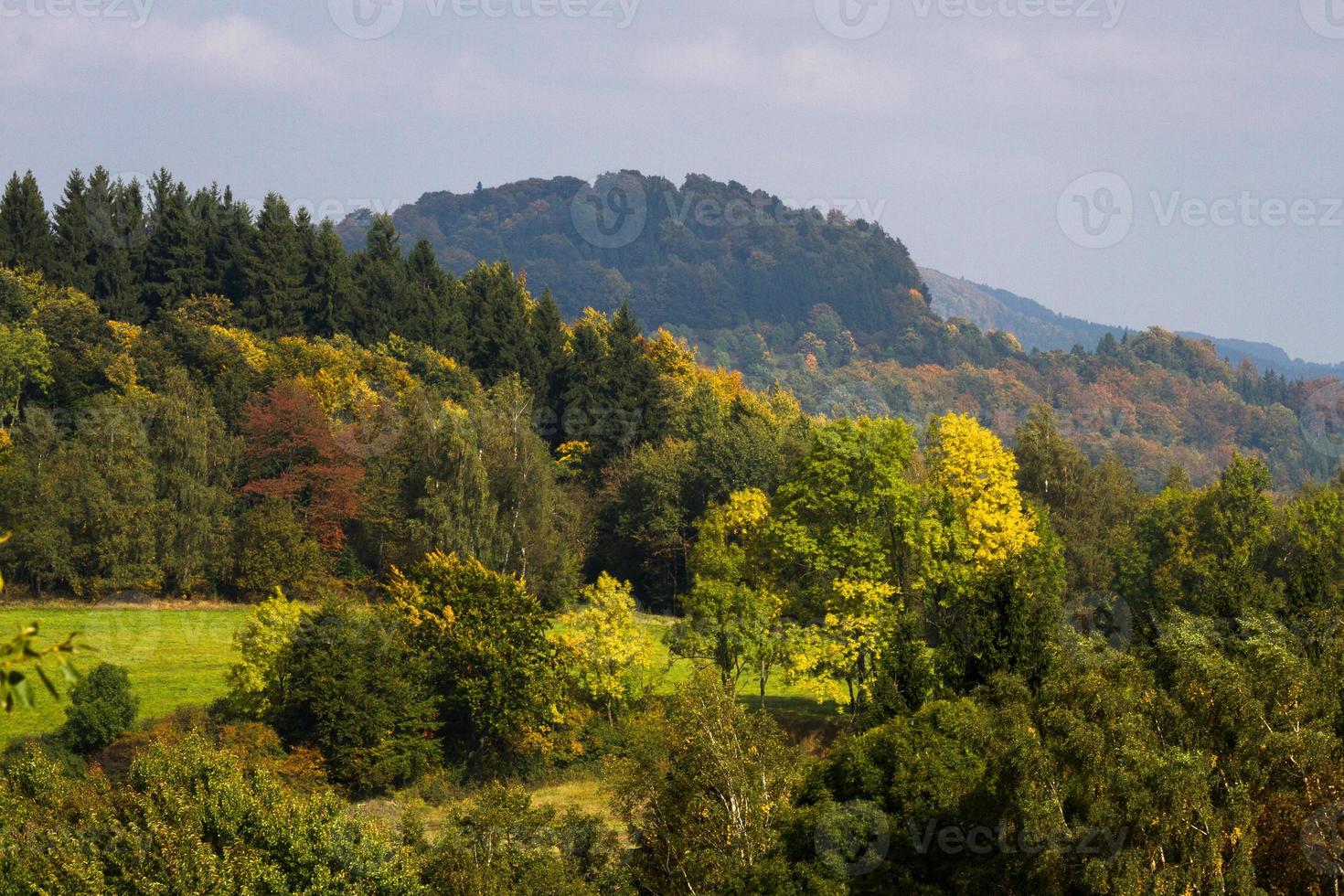 Herbstlandschaft mit gelben Blättern an einem sonnigen Tag foto