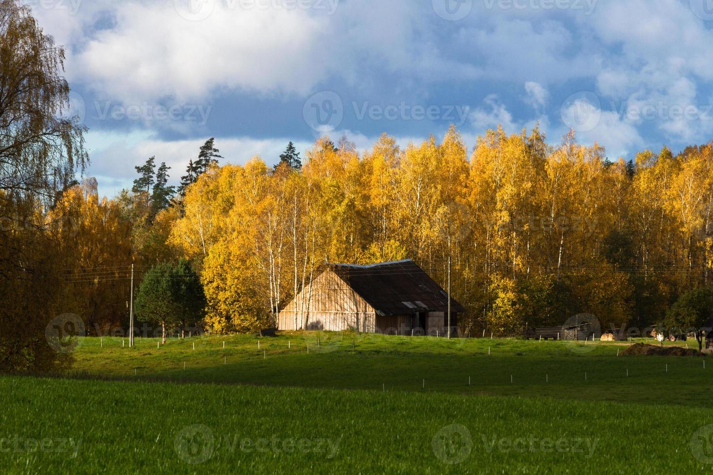 Herbstlandschaft mit gelben Blättern an einem sonnigen Tag foto