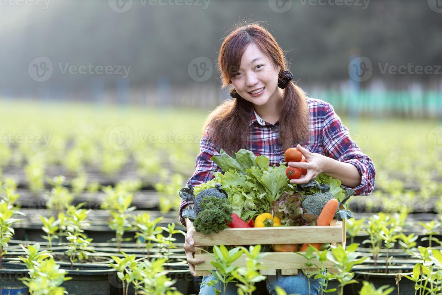 Die asiatische Bäuerin trägt das Holztablett voller frisch gepflückter Bio-Gemüse in ihrem Garten für die Erntezeit und gesunde Ernährung foto