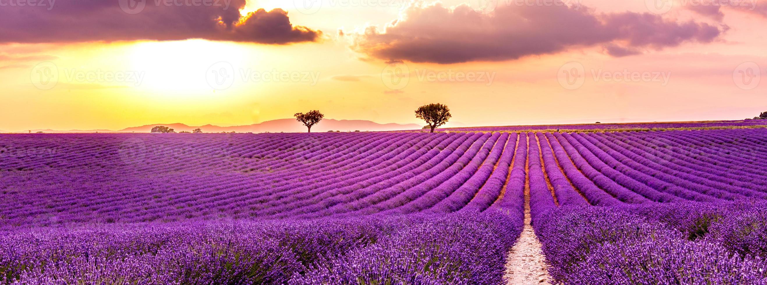 wunderbare landschaft, erstaunliche sommerlandschaft mit blühenden lavendelblumen, friedlicher sonnenuntergang, landschaftlich reizvolle landwirtschaft. schöner naturhintergrund, inspirierendes panorama foto