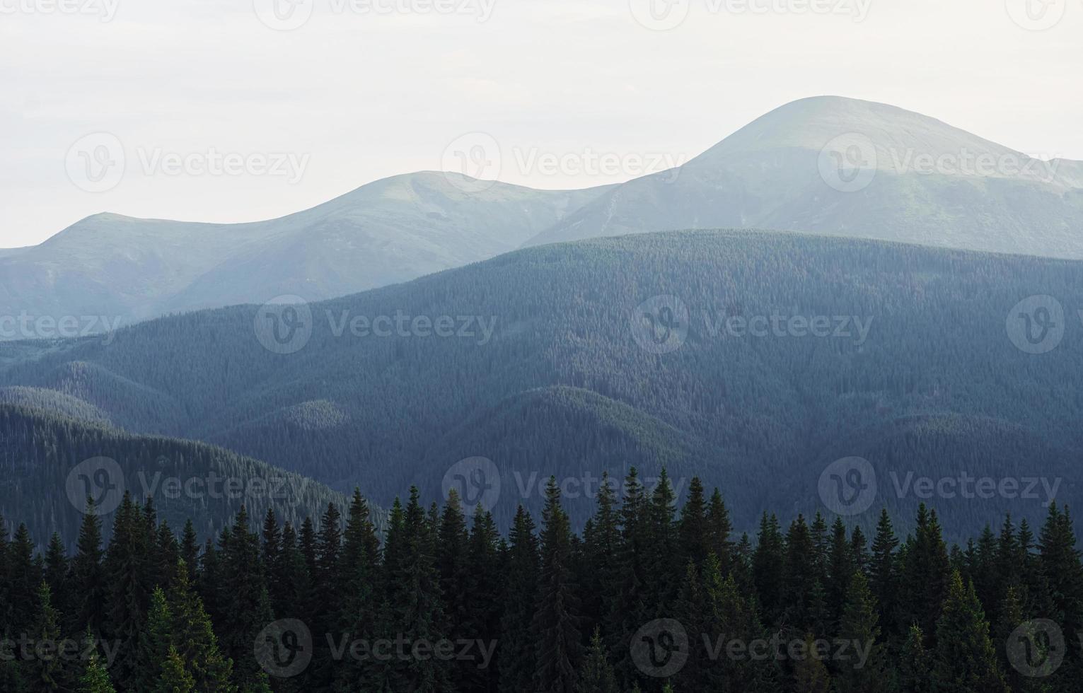 majestätische Karpaten. schöne Landschaft unberührter Natur foto