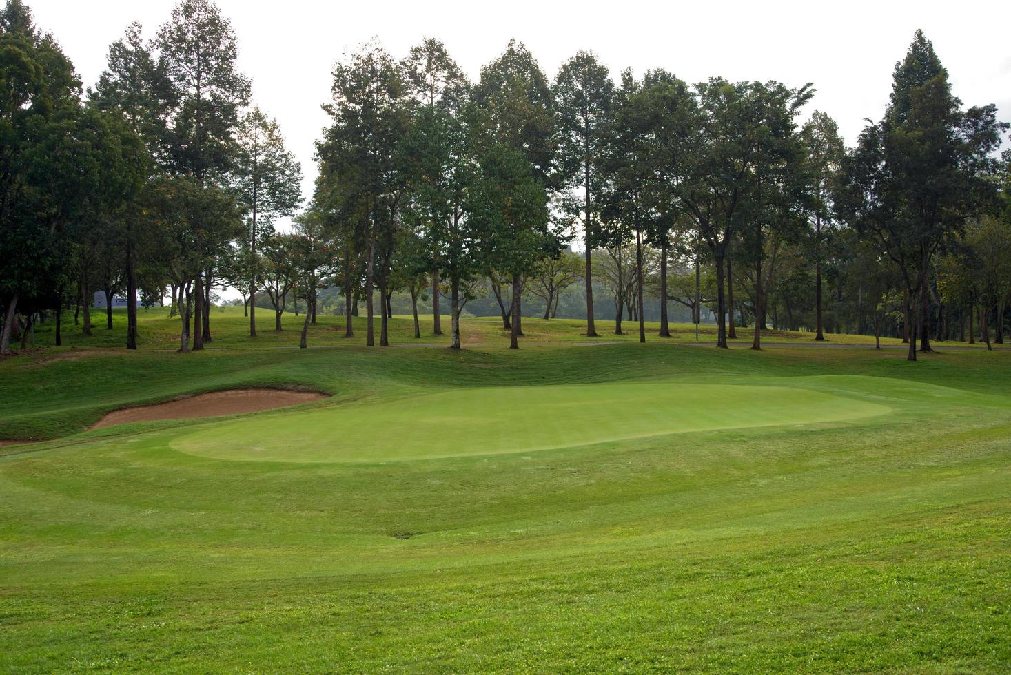 schöner Golfplatz mit grünem Gras foto