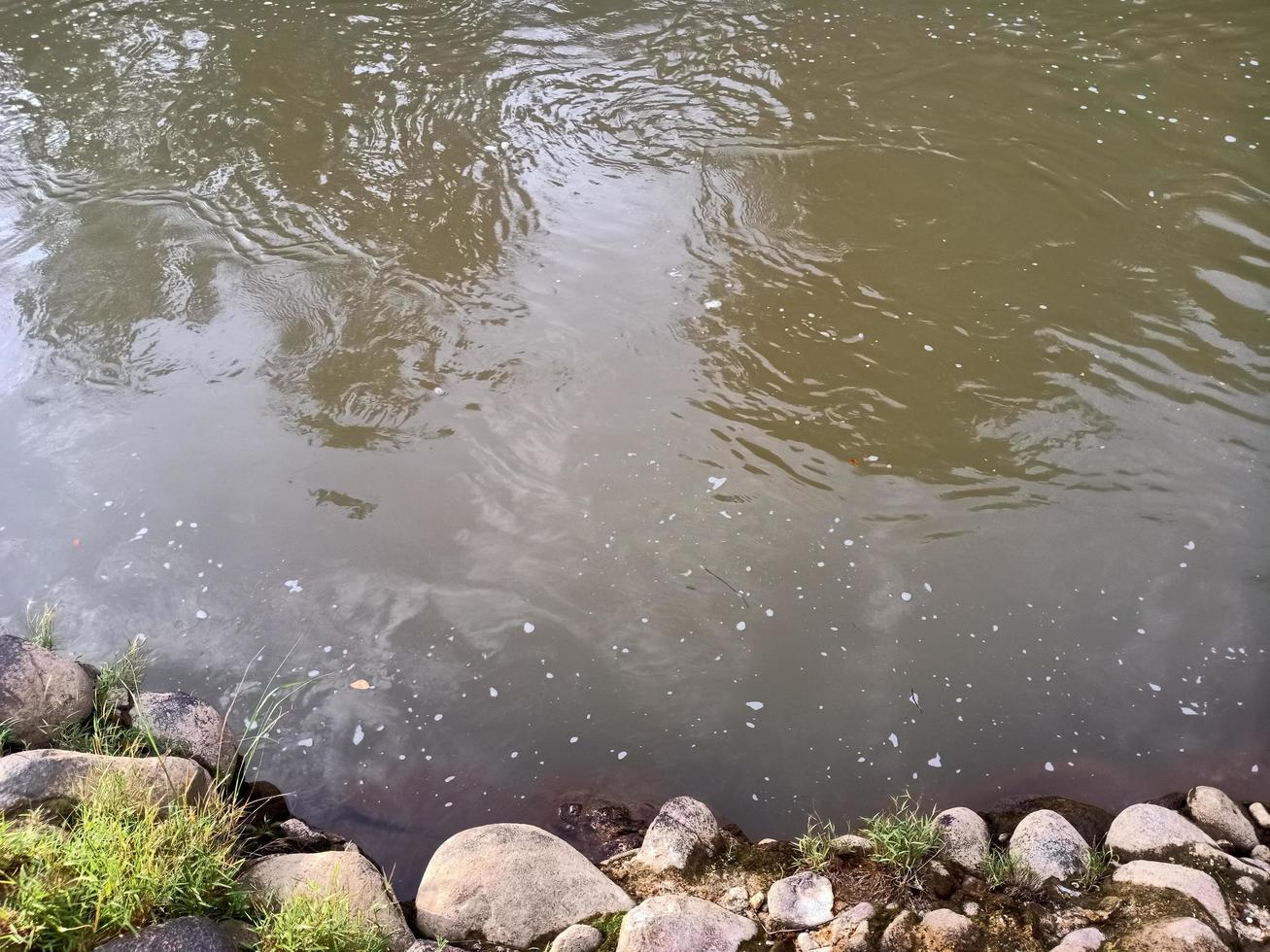 Der Fluss des Flusswassers ist sehr sauber foto